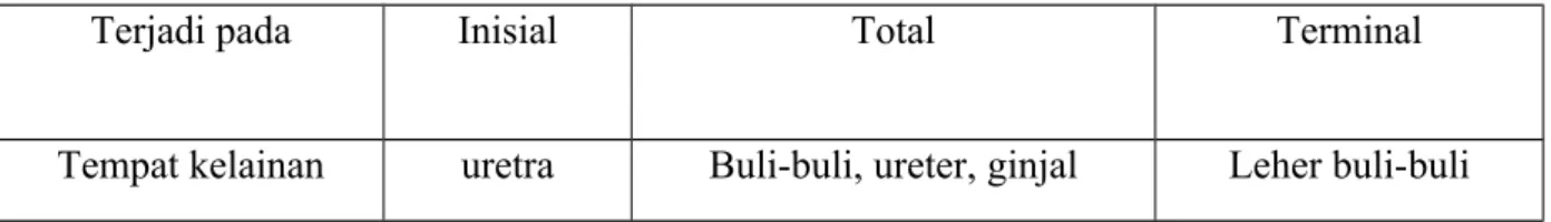 Tabel Porsi hematuri pada saat miksi 4 