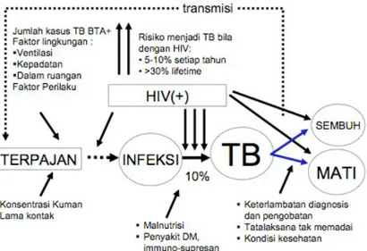 Gambar 2. Skema faktor resiko kejadian TB  Risiko menjadi sakit TB