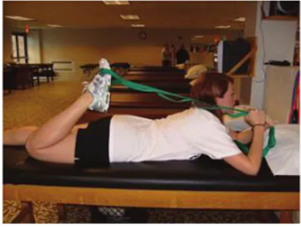 Gambar 2.10 : Quadriceps Stretch  (Princeton, 2014) 