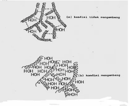Gambar  2  Struktur molekul amilosa amilopektin pada proses pengembangan                      granula pati  