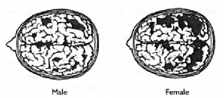 Gambar 1 Wilayah-wilayah bicara dan bahasa di otak. Institute of Psychiatry,  London, 2001