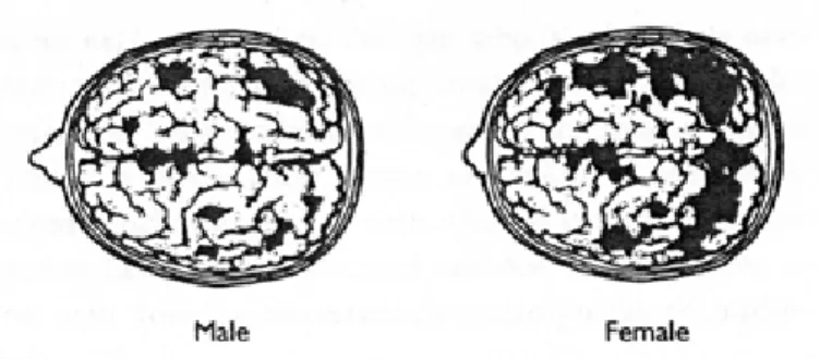 Gambar 2 Area-area otak yang digunakan untuk berbicara dan berbahasa. 