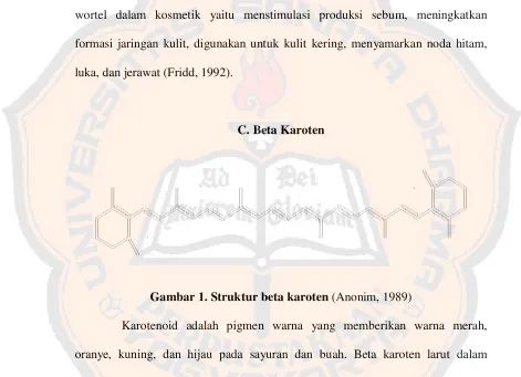 Gambar 1. Struktur beta karoten (Anonim, 1989)