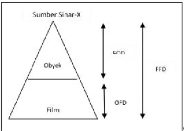 Gambar  2.2.  Skema  variabel  pembentukan  bayangan:  FOD,  FFD,  OFD,  Ukuran  focus  (F),  ukuran  obyek  dan film 