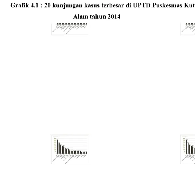 Grafik 4.1 : 20 kunjungan kasus terbesar di UPTD Puskesmas Kuta Alam tahun 2014