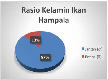Gambar 16. Grafik Rasio Kelamin Ikan Hampala 
