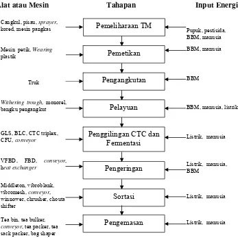 Gambar 7. Bagan alir proses dan aliran energi pada tahapan produksi teh hitam                     di PTPN VIII, parakan salak 
