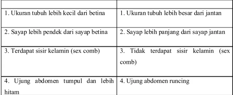 gambar di bawah ini.