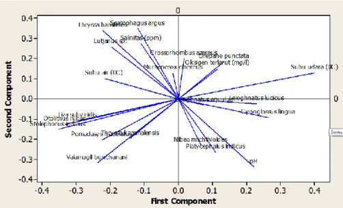 Gambar 2. Grafik Analisis Komponen Utama Karakteristik Stasiun Penelitian Kisaran DO yang diperoleh 4,5–5,2 mg/L, Wardoyo 