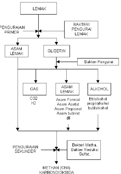 Gambar 8 : Proses penguraian senyawa lemak secara anaerobik menjadi methan. 