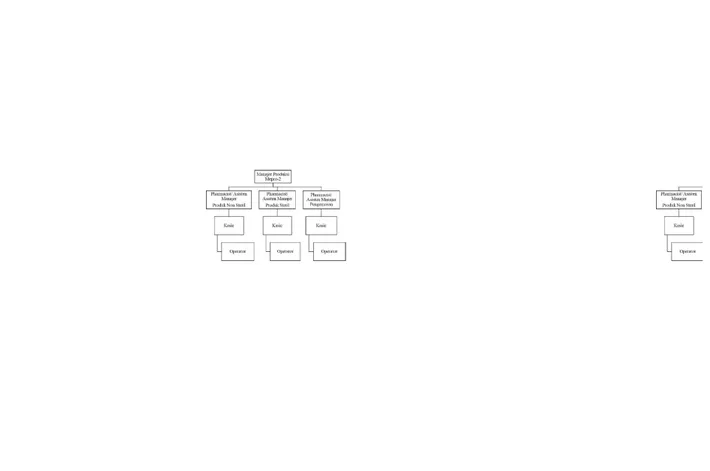 Gambar 4.3 Struktur organisasi Mepro-2.