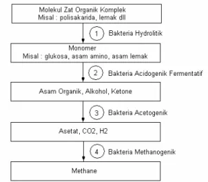 Gambar 2.1: Kelompok Bakteri Metabolik yang terlibat dalam  penguraian limbah dalam sistem anaerobik