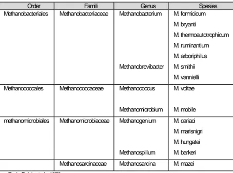 Tabel  2.1 : Klasifikasi Metanogen 