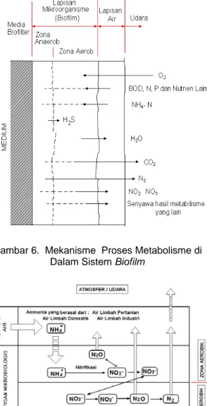 Gambar 6.  Mekanisme  Proses Metabolisme di  Dalam Sistem Biofilm 