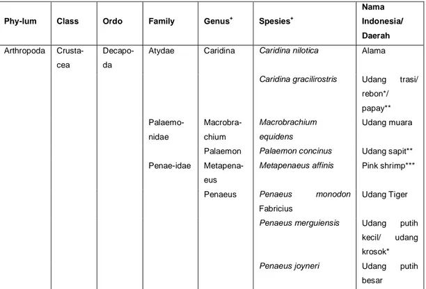 Tabel 1.   Spesies Udang yang Ditemukan di Bawah Tumbuhan Nipah  Kawasan  Mangrove  Desa  Swarangan  Kecamatan  Jorong  Kabupaten Tanah Laut 