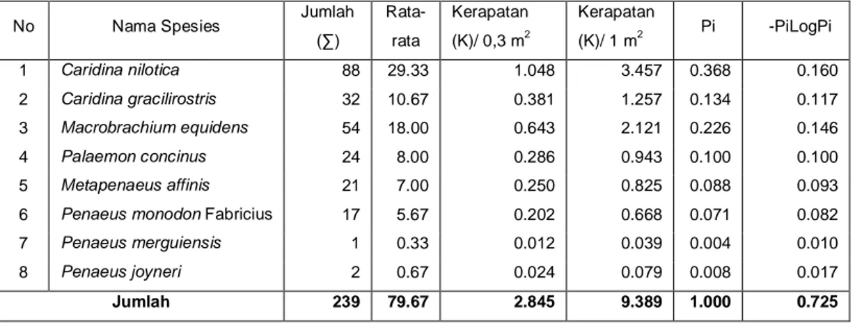 Tabel  2.  Kerapatan  Udang  di  Bawah  Tumbuhan  Nipah  Kawasan  Mangrove  Desa  Swarangan  Kecamatan  Jorong  Kabupaten  Tanah Laut 