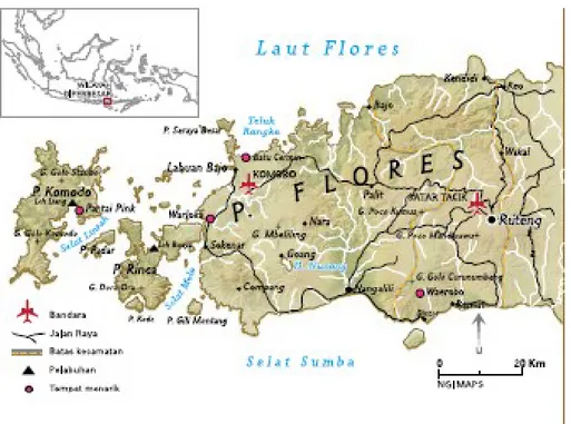 Gambar  4.  Peta Flores 
