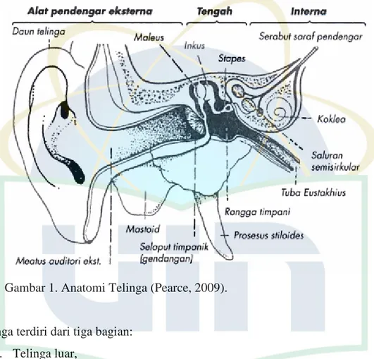 Gambar 1. Anatomi Telinga (Pearce, 2009). 