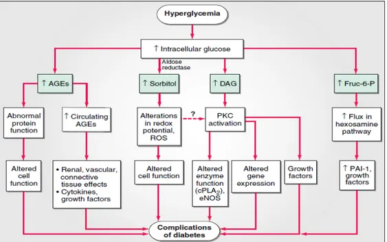 Gambar 2.2. Patofisiologi Komplikasi DM (Power, 2005)  