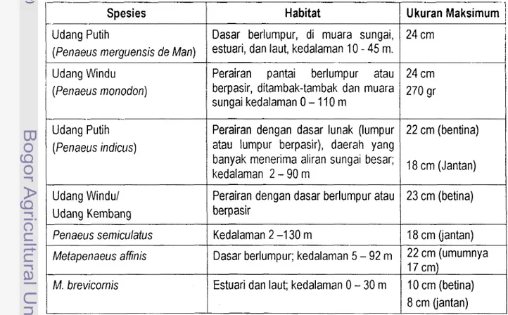 Tabel 1.  Habitat Udang Penaeid 