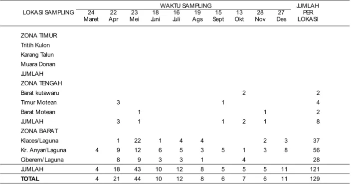 Tabel 3. Distribusi Udang Jari matang gonad  menurut waktu dan tempat sampling