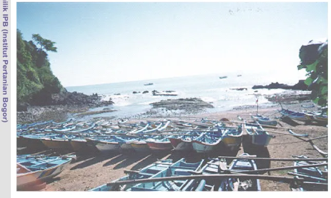 Gambar 7. Armada penangkapan ikan dan udang (perrahu jukung) yang  digunakan para nelayan Kebumen yang beroperasi di perairan                    Cilacap dan sekitarnya