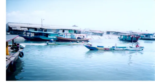 Gambar 10. Armada penangkapan ikan dan udang (perahu compreng dan kapal  ikan) yang digunakan para nelayan Cilacap yang beroperasi di  perairan Cilacap dan sekitarnya