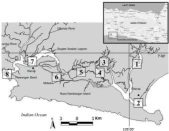 Gambar 1. Peta laguna Segara Anakan dan stasiun observasi, (Ardli &amp; Wolff, 2008).
