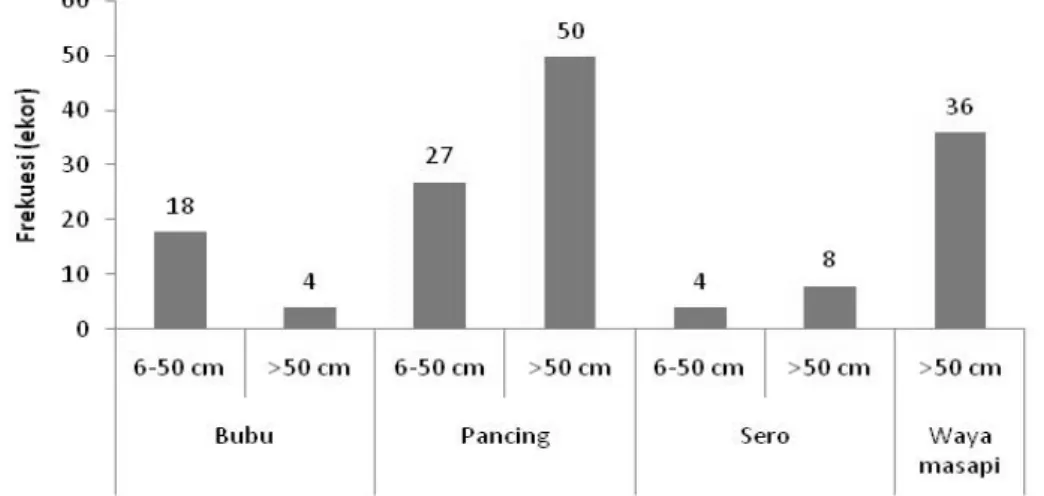 Tabel 2. Distribusi Panjang dan Berat Ikan Sidat yang tertangkap di DAS Poso Table 2. Length and weight distribution of eels caught at Poso Watershed