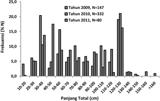 Gambar 3. Distribusi ukuran ikan Sidat yang tertangkap wayamassapi pada tahun 2010 Figure 3