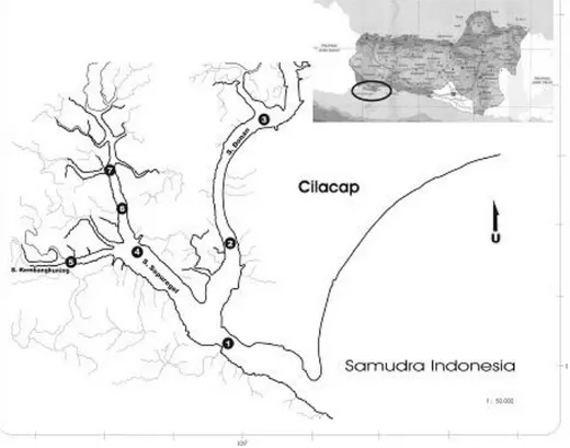 Gambar 1. Peta lokasi sampling Larva Ikan di Perairan Pelawanvgan Timur Kawasan Segara Anakan 