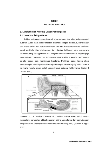 BAB 2 TINJAUAN PUSTAKA