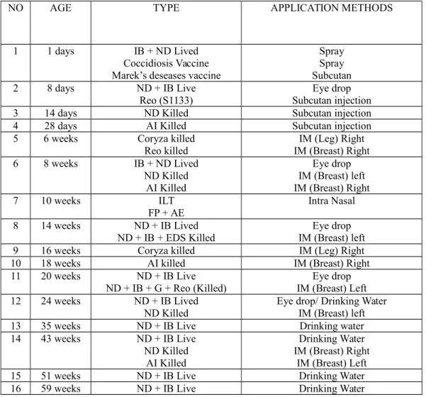 Tabel 7. Program vaksinasi Ayam Broiler