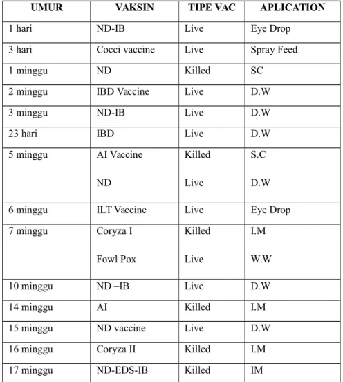Tabel 8. Contoh program vaksinasi pada ayam petelur (layer)