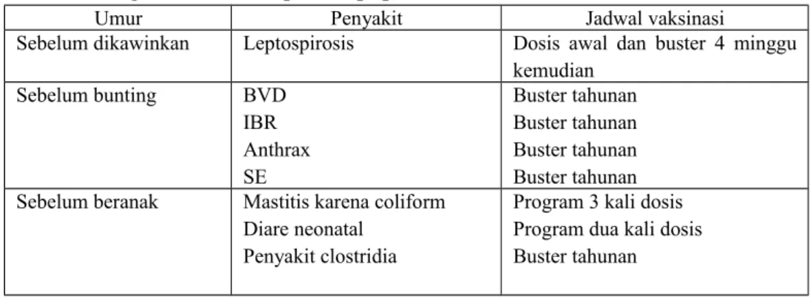 Tabel 2. Program vaksinasi pada sapi perah dara