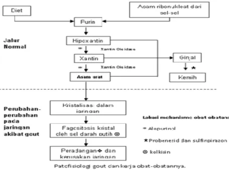 Gambar  1. Penatalaksanaan Gout.