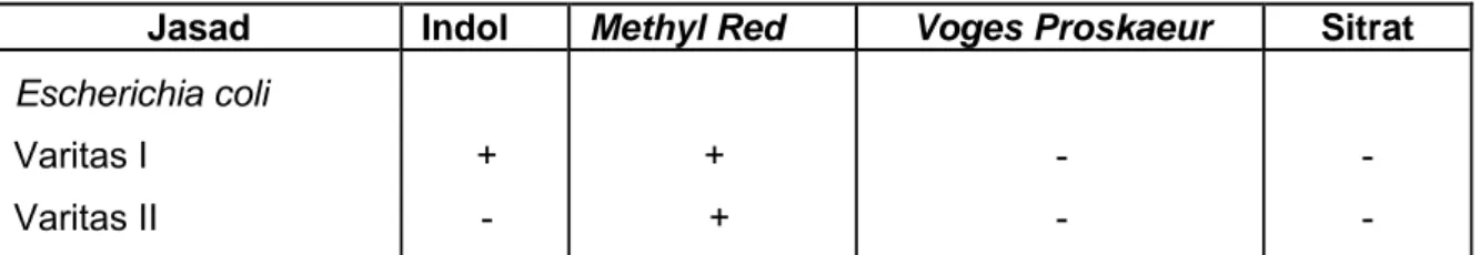 Tabel  A.1 - Reaksi biokimia E. coli pada uji IMVIC 