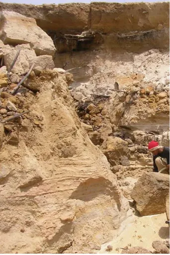 GAMBAR 1. Persentase kandungan kasiterit dan  mineral ikutan pada konsentrat pasir timah (Data 