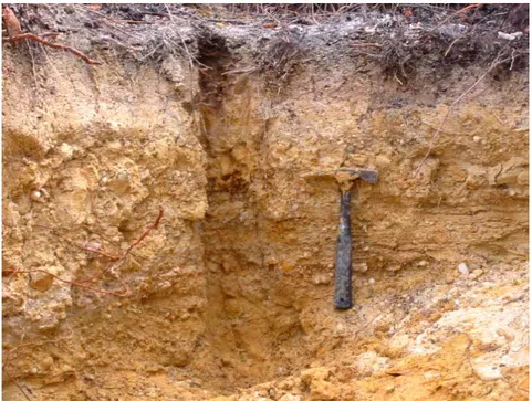 GAMBAR 8. Endapan aluvial mengandung emas di wilayah bekas  tambang Monterado (Gunradi dkk, 2006) 