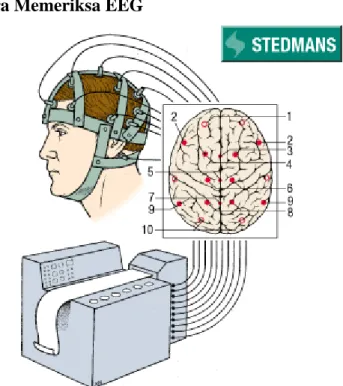 Gambar 1.1 Skema pemasangan EEG 1