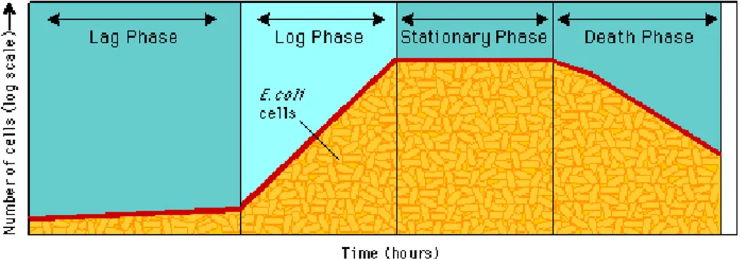 Gambar 10. Kurva yang menggambarkan fase-fase pertumbuhan bakteri; lag phase, log phase,  stationary phase dan death phase