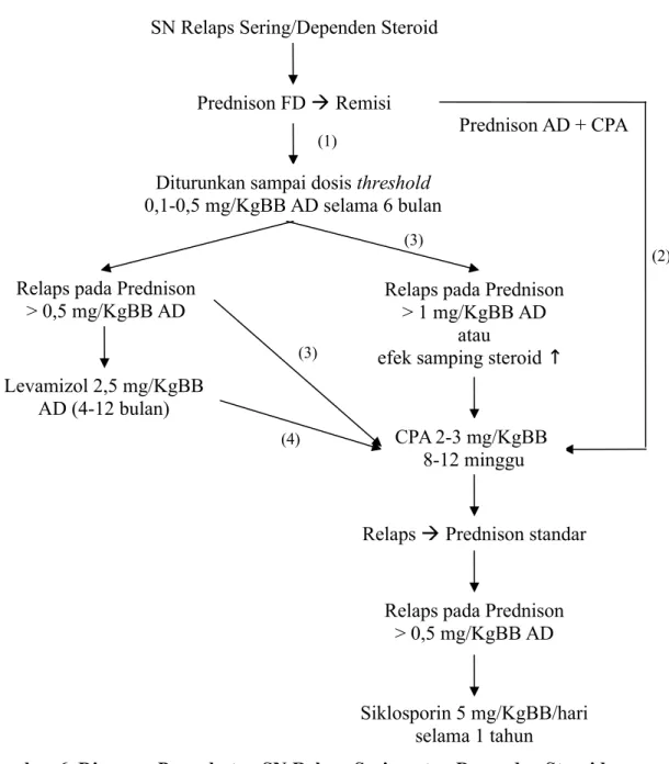 Gambar 6. Diagram Pengobatan SN Relaps Sering atau Dependen Steroid Keterangan: