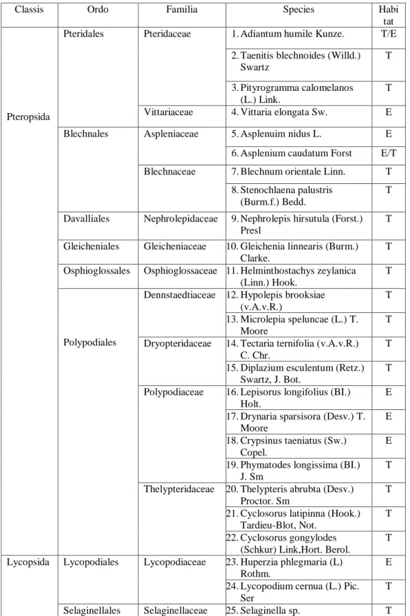 Tabel  1. Tumbuhan paku yang ditemukan pada lokasi penelitian 