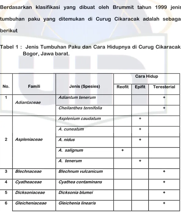 Tabel 1 :  Jenis Tumbuhan Paku dan Cara Hidupnya di Curug Cikaracak,   Bogor, Jawa barat
