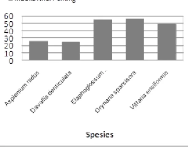 Tabel  3.  Indeks  Keanekaragaman  Shannon- Shannon-Wiener Jenis Tumbuhan Paku 