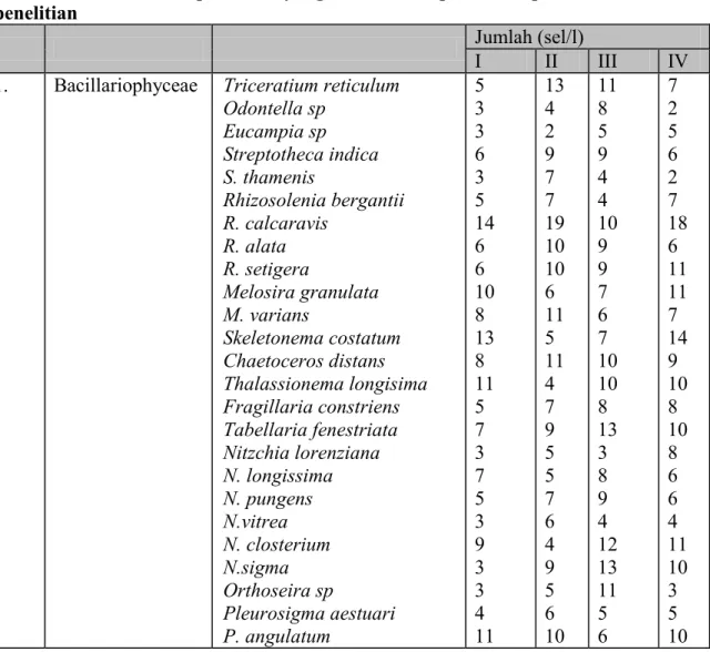 Tabel 1.  Jenis  fitoplankton  yang  ditemukan  pada  setiap  stasiun  selama  penelitian 