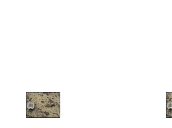 Foto 5.13. Litologi batulanau dengan fosil cetakan daun ( plant remain) LP 102 Arah kamera N 22 0 E