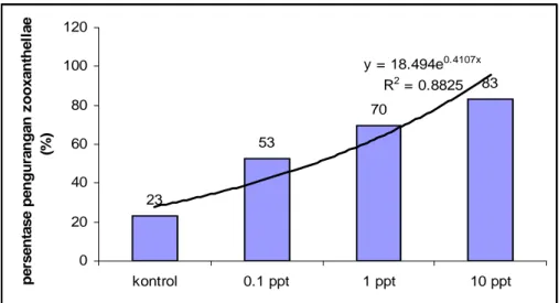 Gambar 1.   Persentase perubahan kandungan zooxanthellae pada berbagai konsentrasi sianida 