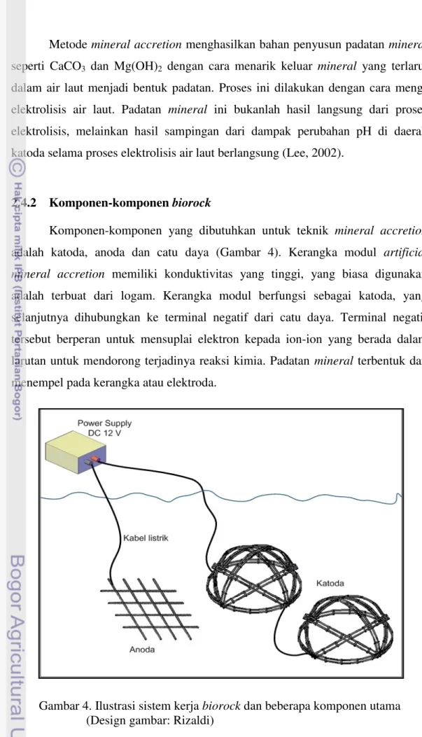 Gambar 4. Ilustrasi sistem kerja biorock dan beberapa komponen utama (Design gambar: Rizaldi)