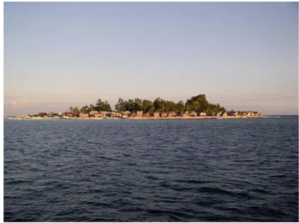 Gambar 10. Pulau Badi (Yusuf. 2008). 